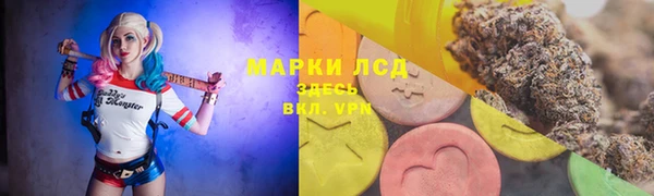 гашик Новозыбков