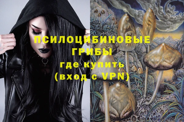 гашик Новозыбков