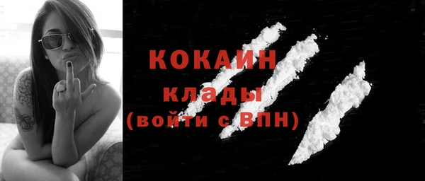 гашик Новозыбков