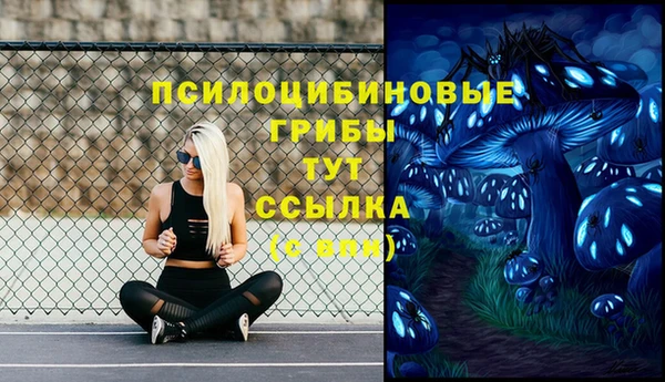 гашик Новозыбков