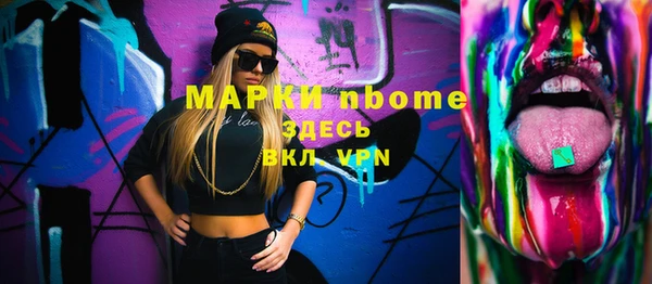 гашик Новозыбков