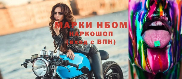 гашик Новозыбков