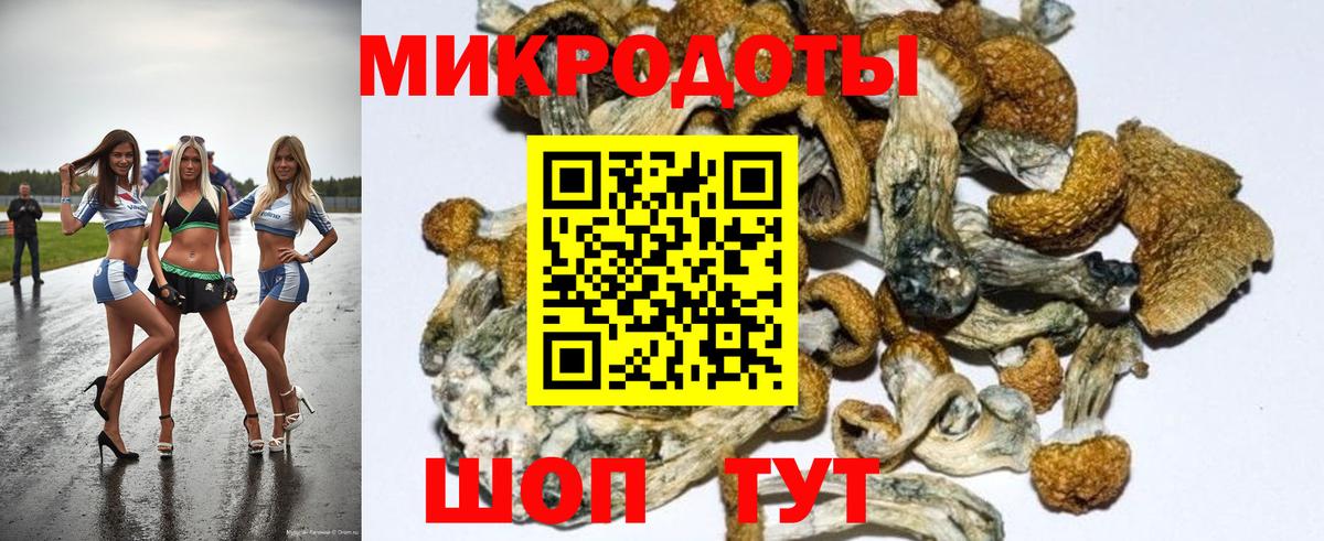 Псилоцибиновые грибы MAGIC MUSHROOMS Мыски