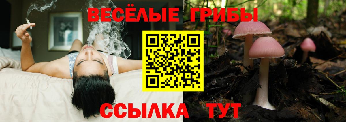 Галлюциногенные грибы GOLDEN TEACHER Мыски