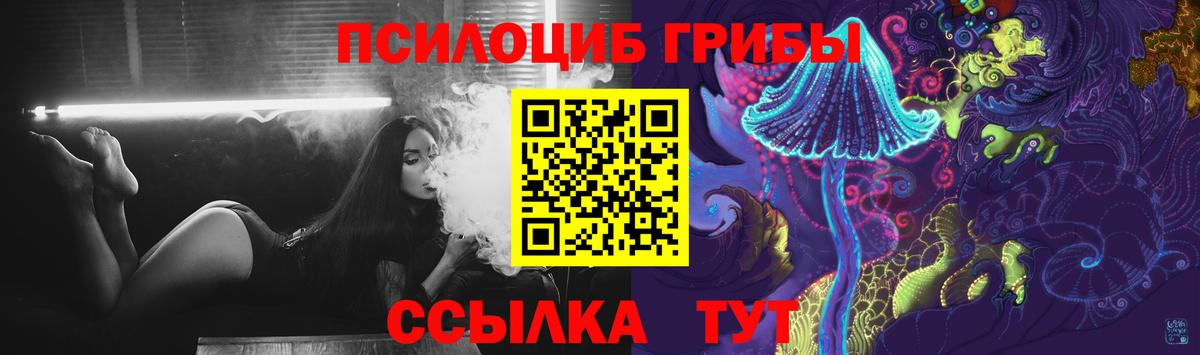 Мыски  Псилоцибиновые грибы мицелий  Вход с VPN  Галлюциногенные грибы GOLDEN TEACHER 