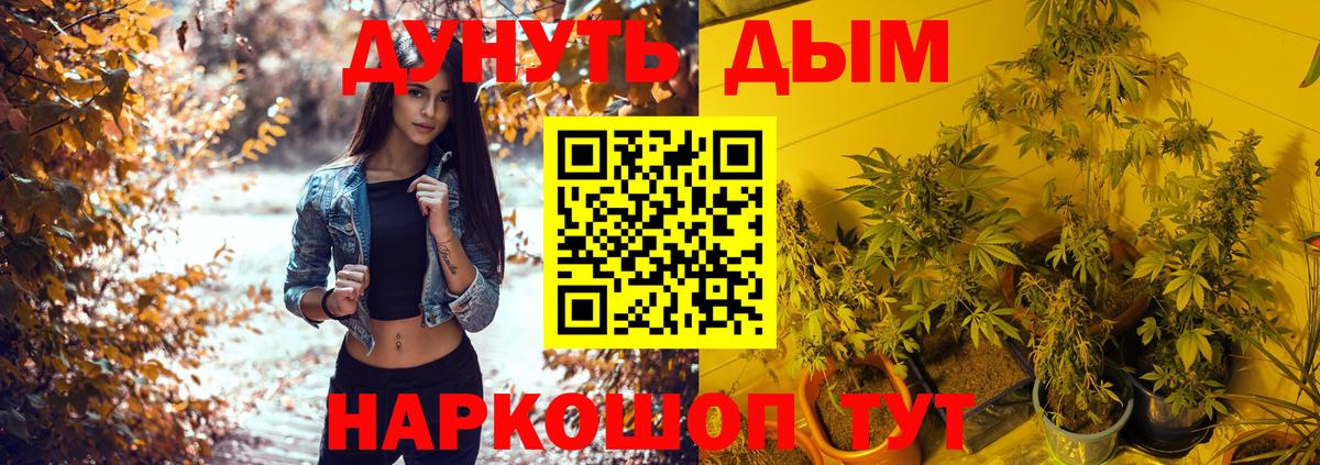 Каннабис конопля Мыски